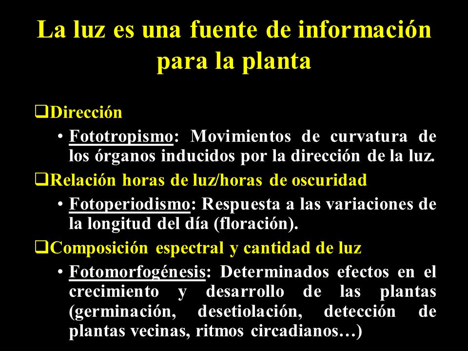 La luz es una fuente de información para la planta