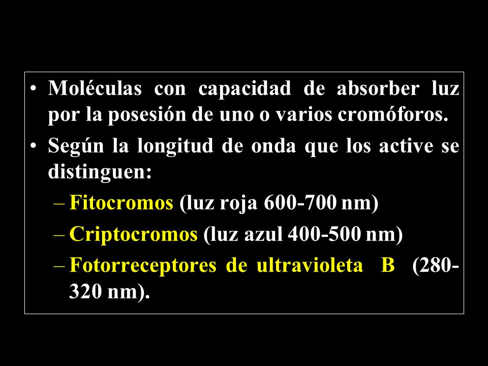 Moléculas con capacidad de absorber luz por la posesión de uno o varios cromóforos.