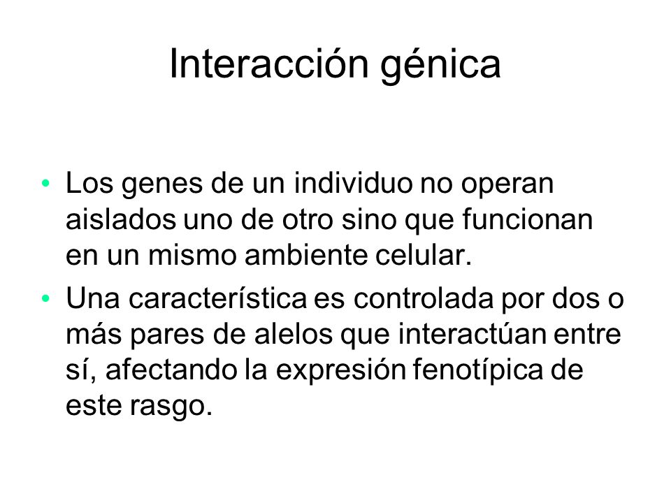 Interacción génica Los genes de un individuo no operan aislados uno de otro sino que funcionan en un mismo ambiente celular.
