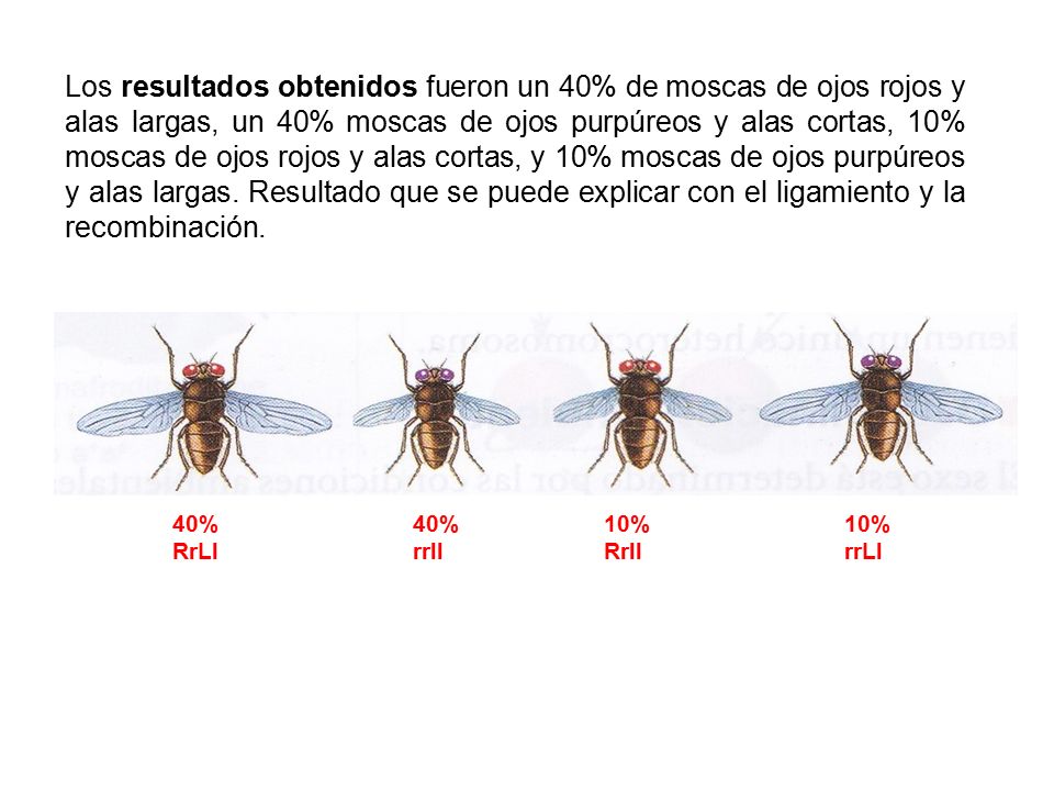 UNIDAD 7 UNIDAD 7. UNIDAD 7. UNIDAD 7. UNIDAD 7.