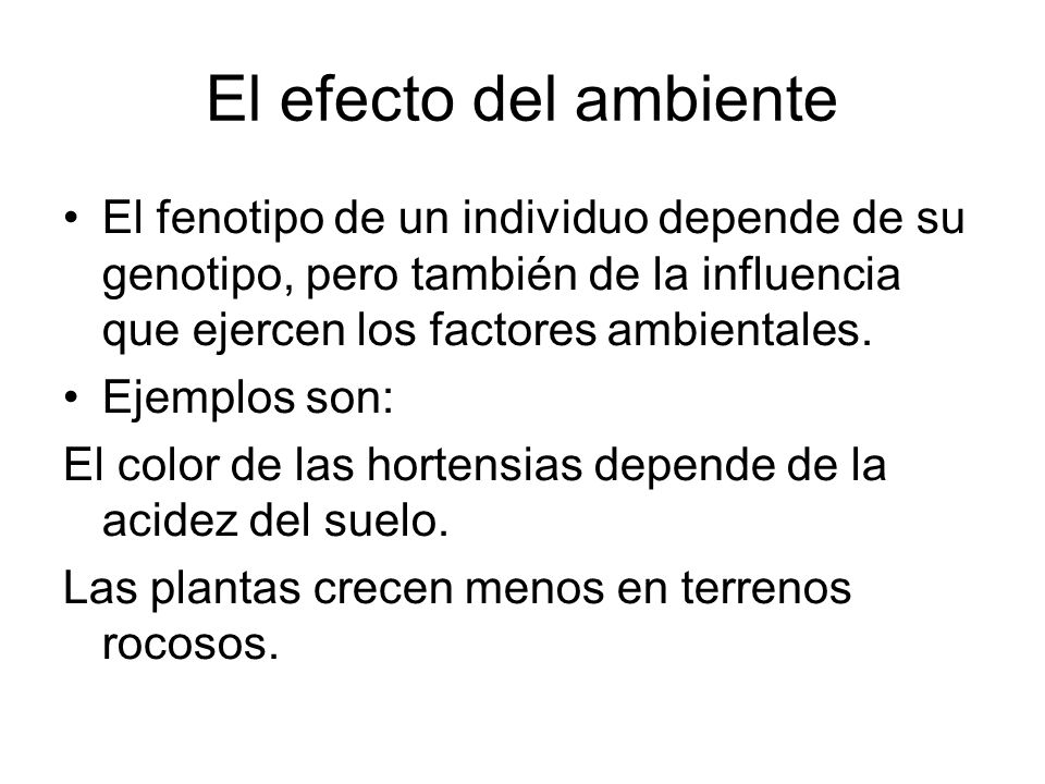 El efecto del ambiente El fenotipo de un individuo depende de su genotipo, pero también de la influencia que ejercen los factores ambientales.
