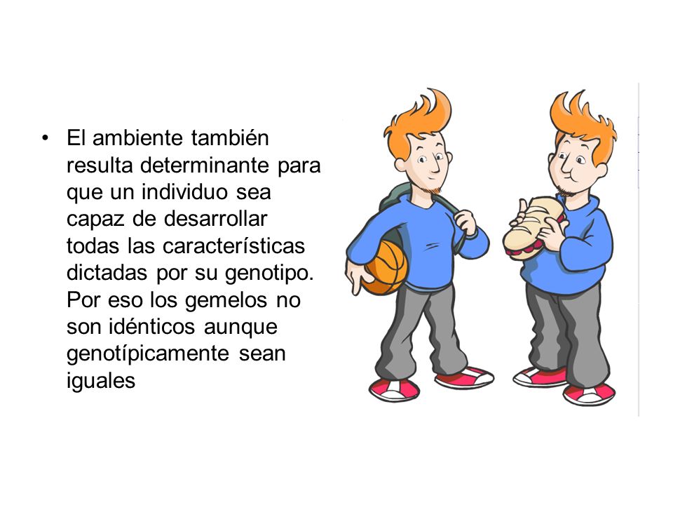 El ambiente también resulta determinante para que un individuo sea capaz de desarrollar todas las características dictadas por su genotipo.