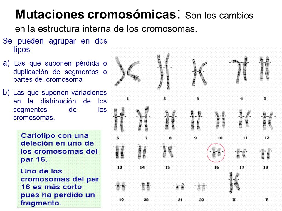 Mutaciones cromosómicas: Son los cambios en la estructura interna de los cromosomas.