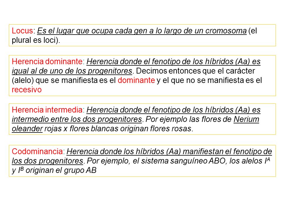 Locus: Es el lugar que ocupa cada gen a lo largo de un cromosoma (el plural es loci).