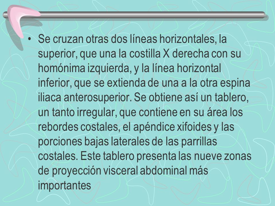 Se cruzan otras dos líneas horizontales, la superior, que una la costilla X derecha con su homónima izquierda, y la línea horizontal inferior, que se extienda de una a la otra espina iliaca anterosuperior.