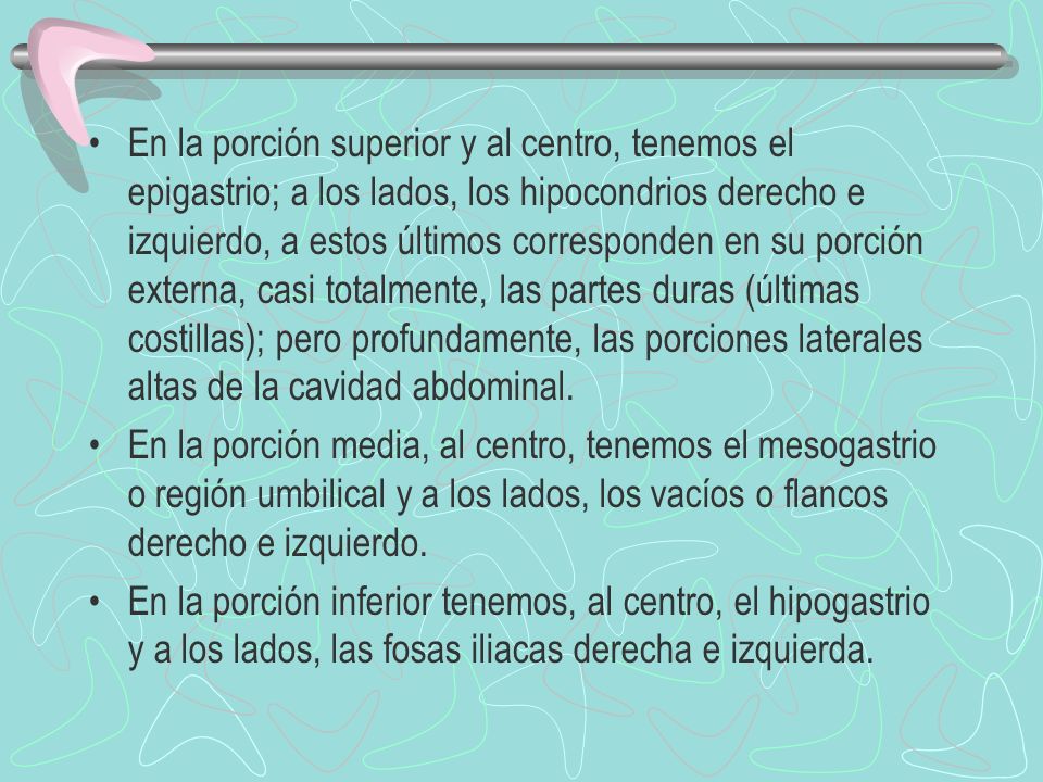 En la porción superior y al centro, tenemos el epigastrio; a los lados, los hipocondrios derecho e izquierdo, a estos últimos corresponden en su porción externa, casi totalmente, las partes duras (últimas costillas); pero profundamente, las porciones laterales altas de la cavidad abdominal.