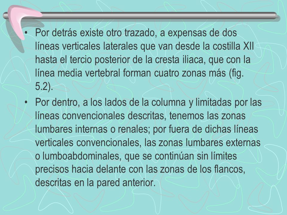 Por detrás existe otro trazado, a expensas de dos líneas verticales laterales que van desde la costilla XII hasta el tercio posterior de la cresta iliaca, que con la línea media vertebral forman cuatro zonas más (fig. 5.2).