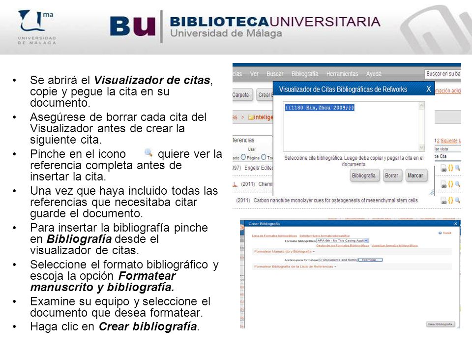 Se abrirá el Visualizador de citas, copie y pegue la cita en su documento.