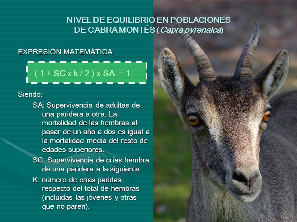 NIVEL DE EQUILIBRIO EN POBLACIONES DE CABRA MONTÉS (Capra pyrenaica)
