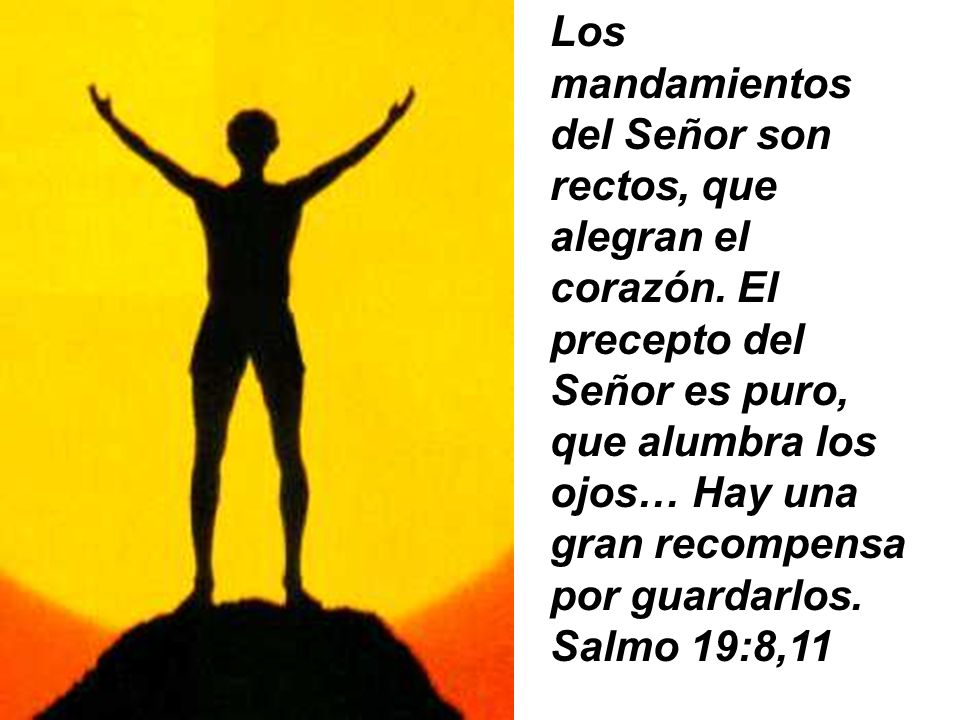 Los mandamientos del Señor son rectos, que alegran el corazón