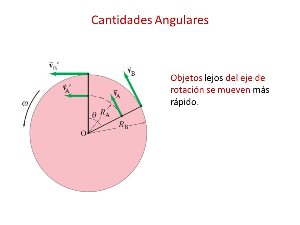 Cantidades Angulares Objetos lejos del eje de rotación se mueven más rápido.