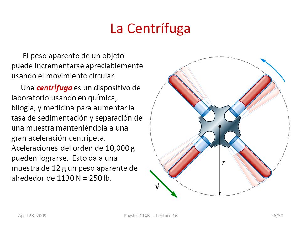 La Centrífuga El peso aparente de un objeto puede incrementarse apreciablemente usando el movimiento circular.