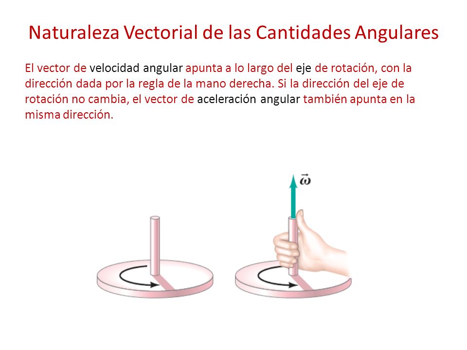 Naturaleza Vectorial de las Cantidades Angulares