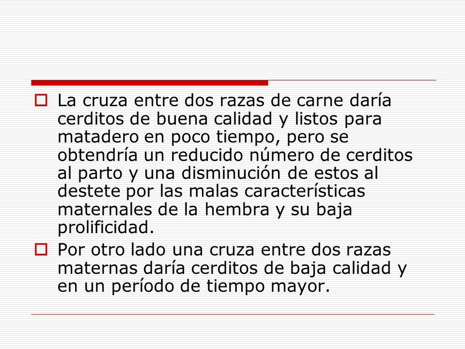 La cruza entre dos razas de carne daría cerditos de buena calidad y listos para matadero en poco tiempo, pero se obtendría un reducido número de cerditos al parto y una disminución de estos al destete por las malas características maternales de la hembra y su baja prolificidad.
