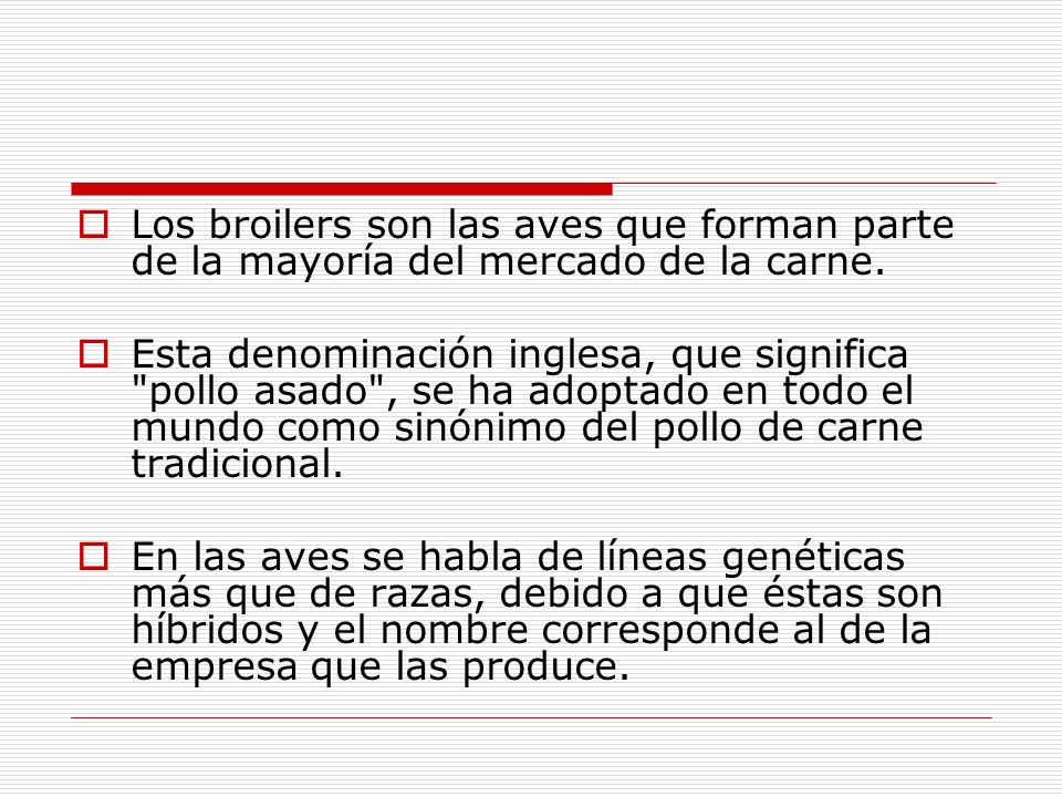 Los broilers son las aves que forman parte de la mayoría del mercado de la carne.