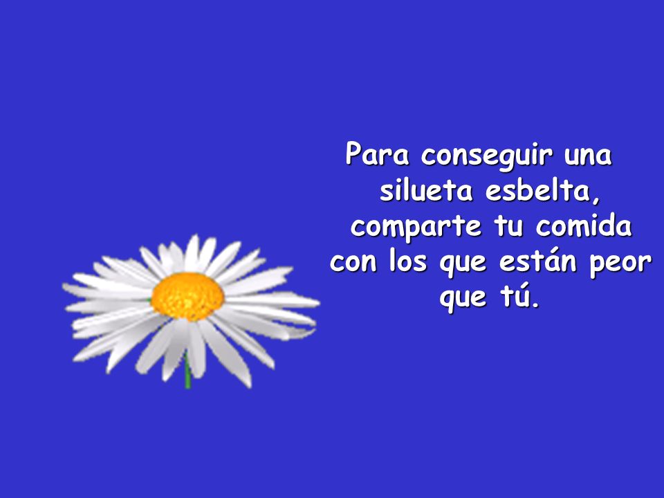 Para conseguir una silueta esbelta, comparte tu comida con los que están peor que tú.