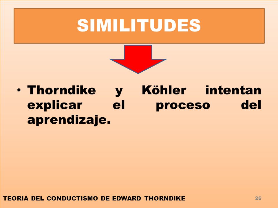 SIMILITUDES Thorndike y Köhler intentan explicar el proceso del aprendizaje.