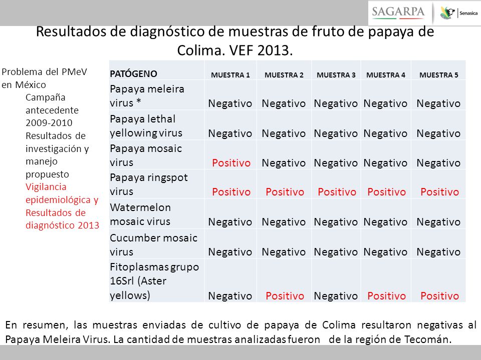 Resultados de diagnóstico de muestras de fruto de papaya de Colima