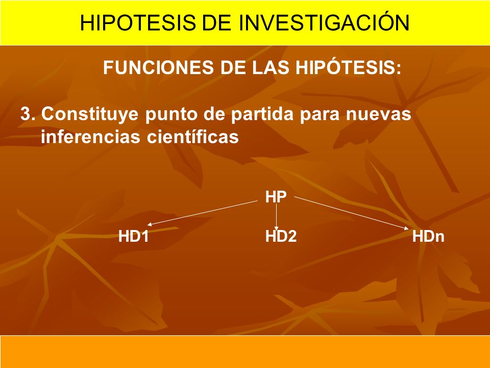 FUNCIONES DE LAS HIPÓTESIS: