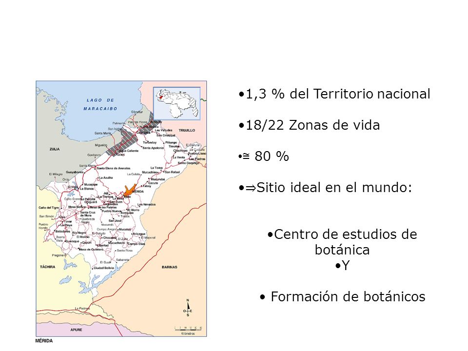 1,3 % del Territorio nacional 18/22 Zonas de vida ≅ 80 %