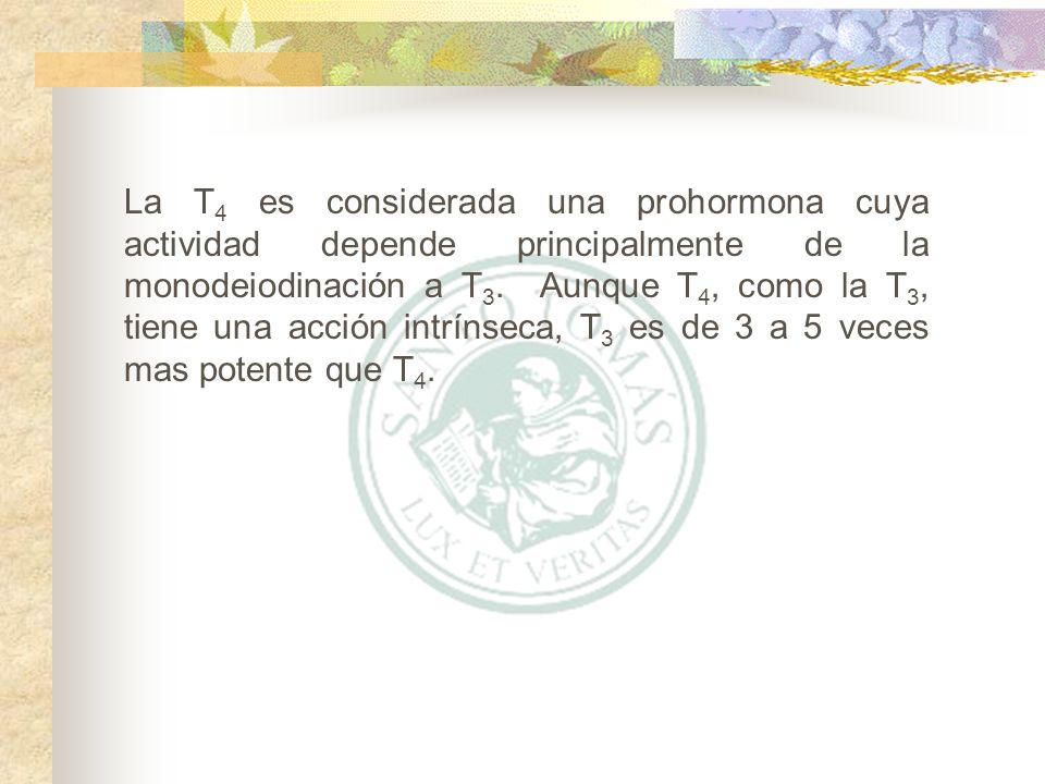 La T4 es considerada una prohormona cuya actividad depende principalmente de la monodeiodinación a T3.