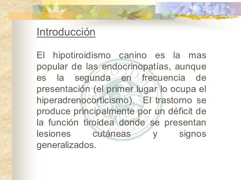 Introducción