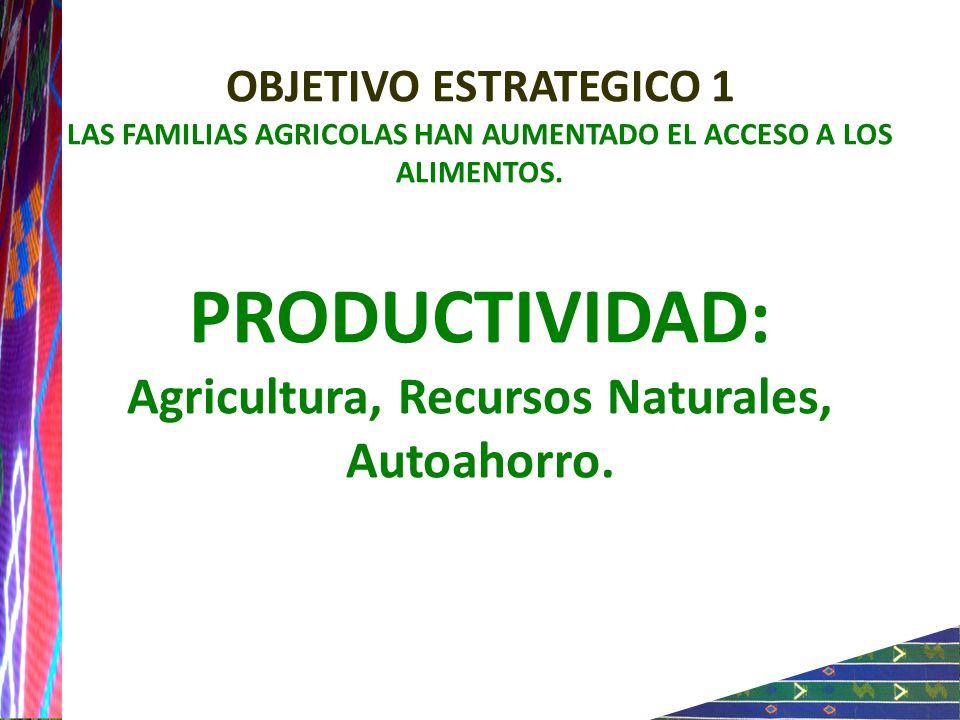 OBJETIVO ESTRATEGICO 1 LAS FAMILIAS AGRICOLAS HAN AUMENTADO EL ACCESO A LOS ALIMENTOS.