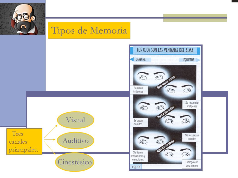 Tipos de Memoria Visual Tres canales principales. Auditivo Cinestésico