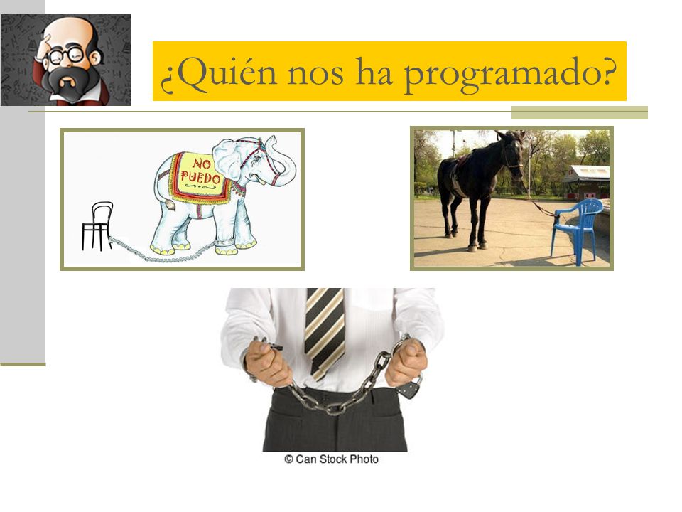 ¿Quién nos ha programado