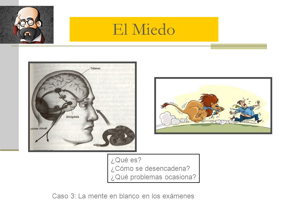 El Miedo ¿Qué es ¿Cómo se desencadena ¿Qué problemas ocasiona