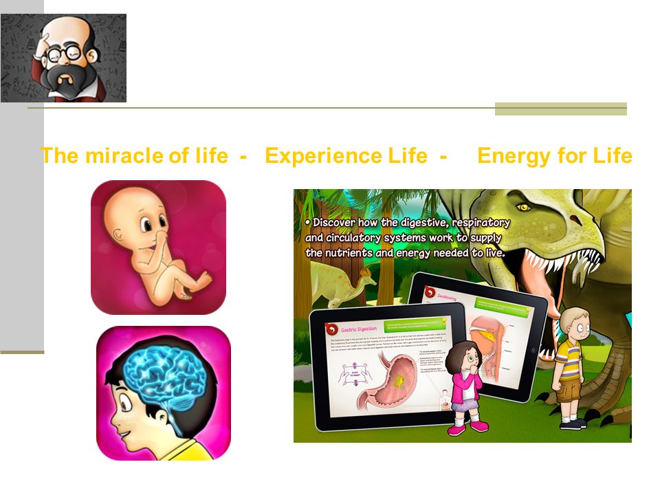 The miracle of life - Experience Life - Energy for Life