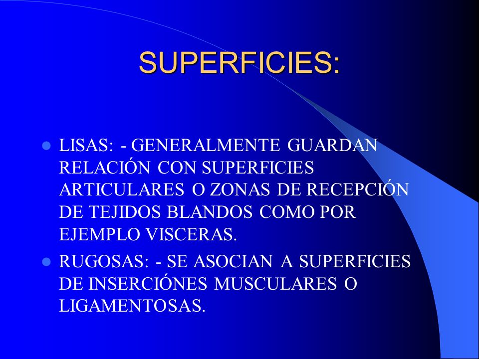 SUPERFICIES: LISAS: - GENERALMENTE GUARDAN RELACIÓN CON SUPERFICIES ARTICULARES O ZONAS DE RECEPCIÓN DE TEJIDOS BLANDOS COMO POR EJEMPLO VISCERAS.