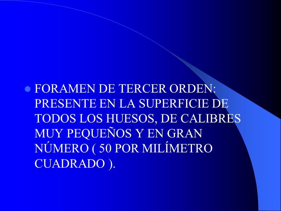 FORAMEN DE TERCER ORDEN: PRESENTE EN LA SUPERFICIE DE TODOS LOS HUESOS, DE CALIBRES MUY PEQUEÑOS Y EN GRAN NÚMERO ( 50 POR MILÍMETRO CUADRADO ).
