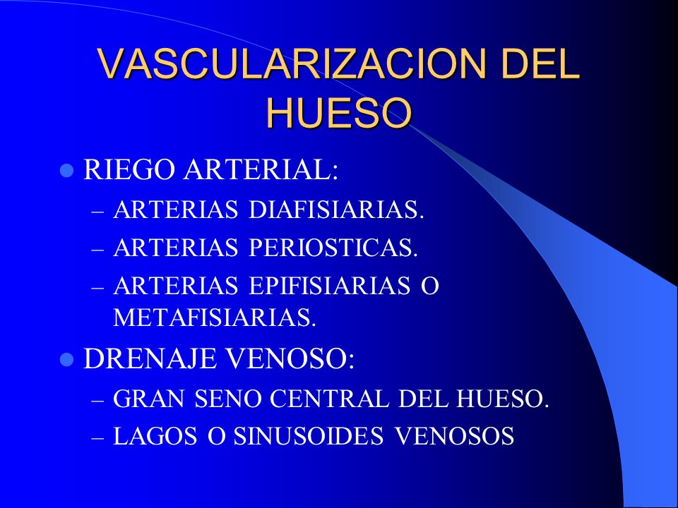 VASCULARIZACION DEL HUESO