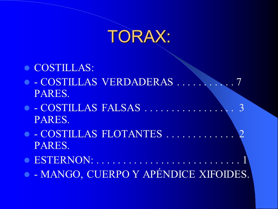 TORAX: COSTILLAS: - COSTILLAS VERDADERAS PARES. - COSTILLAS FALSAS PARES.