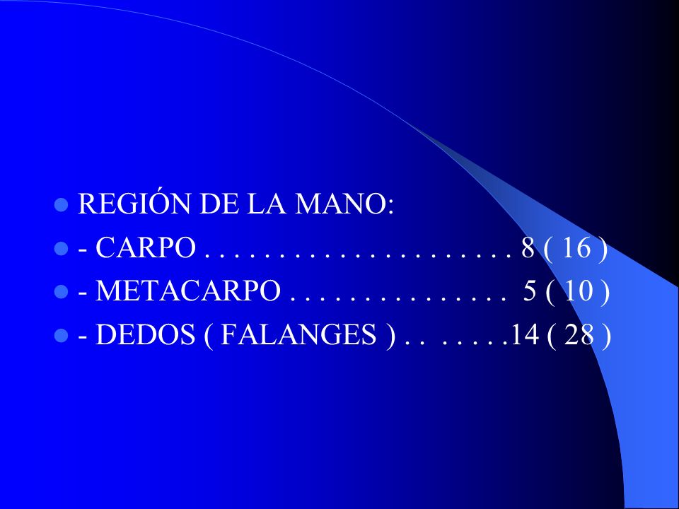 REGIÓN DE LA MANO: - CARPO ( 16 ) - METACARPO ( 10 )