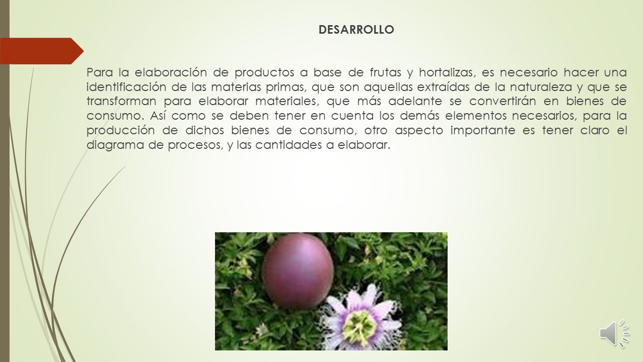 DESARROLLO Para la elaboración de productos a base de frutas y hortalizas, es necesario hacer una identificación de las materias primas, que son aquellas extraídas de la naturaleza y que se transforman para elaborar materiales, que más adelante se convertirán en bienes de consumo.