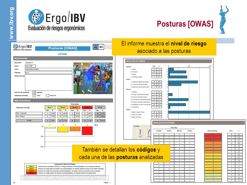 Posturas [OWAS] El informe muestra el nivel de riesgo asociado a las posturas.