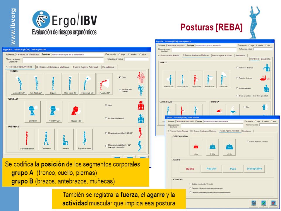 Posturas [REBA] Se codifica la posición de los segmentos corporales grupo A (tronco, cuello, piernas) grupo B (brazos, antebrazos, muñecas)