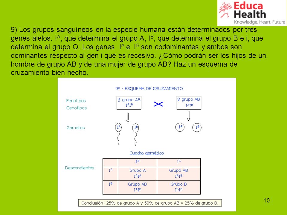 9) Los grupos sanguíneos en la especie humana están determinados por tres genes alelos: IA, que determina el grupo A, IB, que determina el grupo B e i, que determina el grupo O.