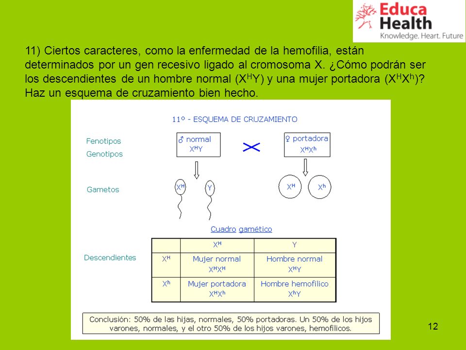 11) Ciertos caracteres, como la enfermedad de la hemofilia, están determinados por un gen recesivo ligado al cromosoma X.