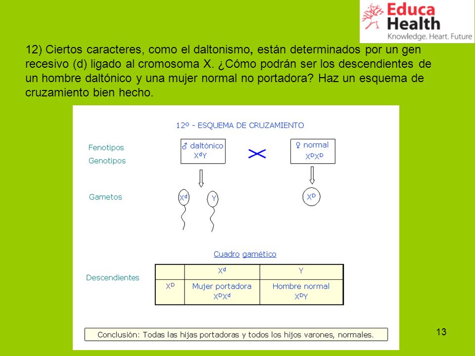 12) Ciertos caracteres, como el daltonismo, están determinados por un gen recesivo (d) ligado al cromosoma X.