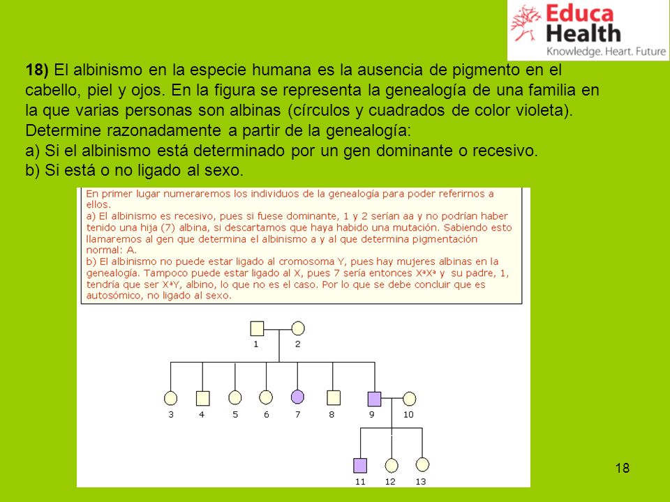 18) El albinismo en la especie humana es la ausencia de pigmento en el cabello, piel y ojos. En la figura se representa la genealogía de una familia en la que varias personas son albinas (círculos y cuadrados de color violeta). Determine razonadamente a partir de la genealogía: