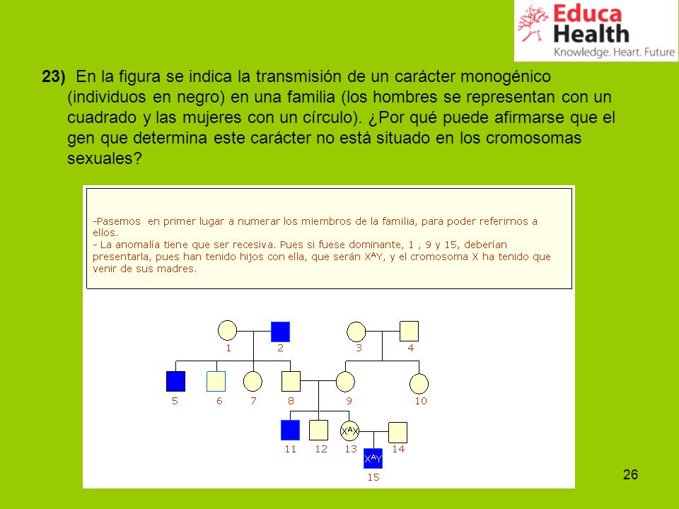 23) En la figura se indica la transmisión de un carácter monogénico (individuos en negro) en una familia (los hombres se representan con un cuadrado y las mujeres con un círculo).