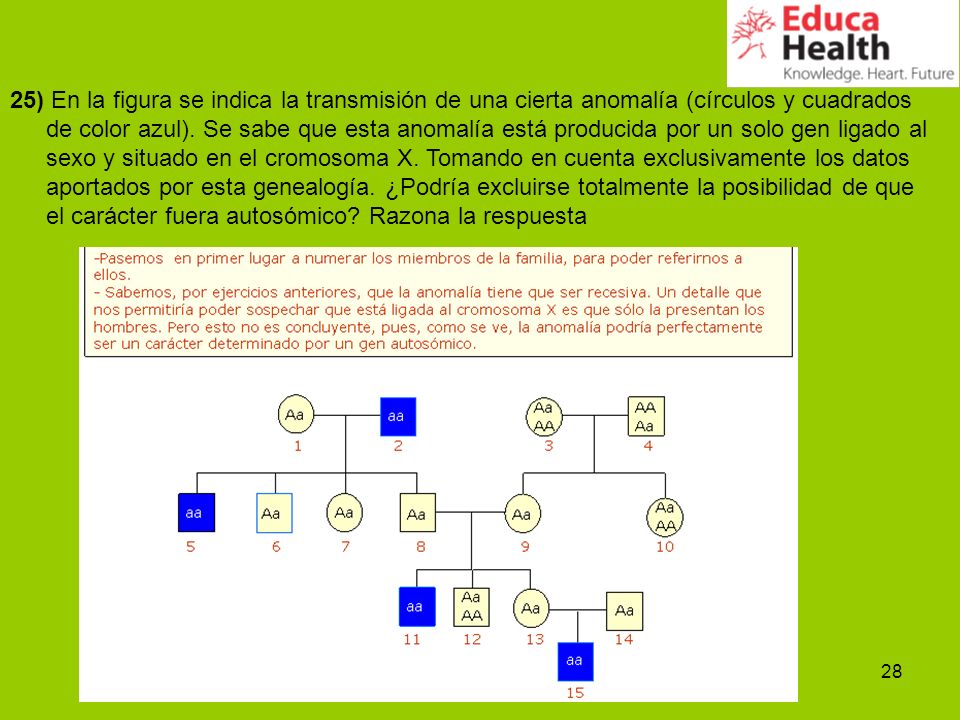 25) En la figura se indica la transmisión de una cierta anomalía (círculos y cuadrados de color azul).