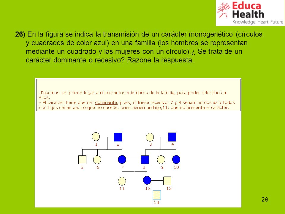 26) En la figura se indica la transmisión de un carácter monogenético (círculos y cuadrados de color azul) en una familia (los hombres se representan mediante un cuadrado y las mujeres con un círculo).¿ Se trata de un carácter dominante o recesivo.