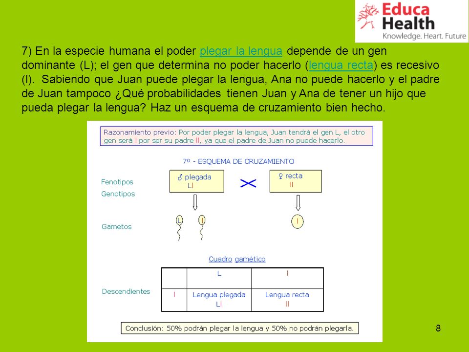 7) En la especie humana el poder plegar la lengua depende de un gen dominante (L); el gen que determina no poder hacerlo (lengua recta) es recesivo (l).