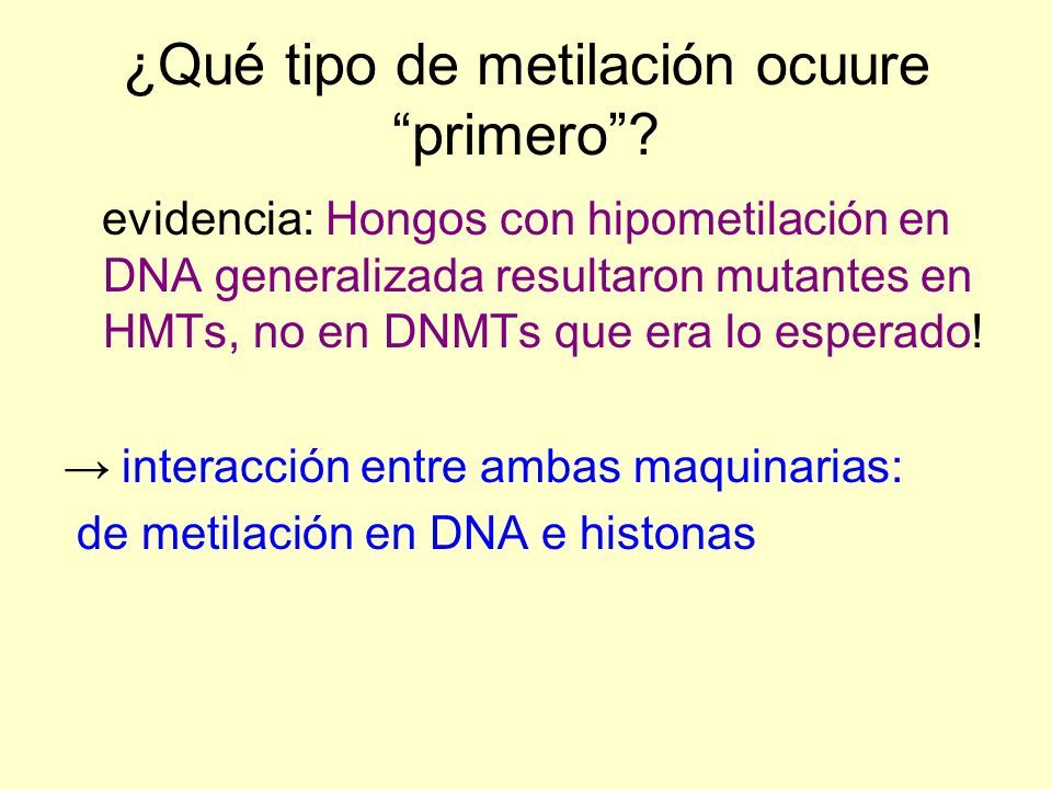 ¿Qué tipo de metilación ocuure primero