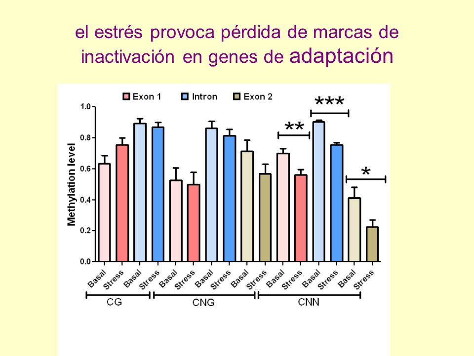 el estrés provoca pérdida de marcas de inactivación en genes de adaptación