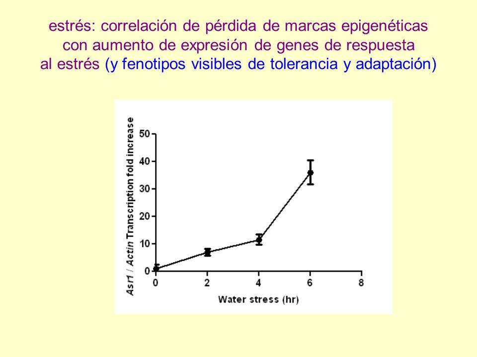 estrés: correlación de pérdida de marcas epigenéticas con aumento de expresión de genes de respuesta al estrés (y fenotipos visibles de tolerancia y adaptación)